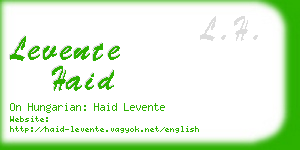 levente haid business card